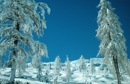 Transclautana Ski Alp Race